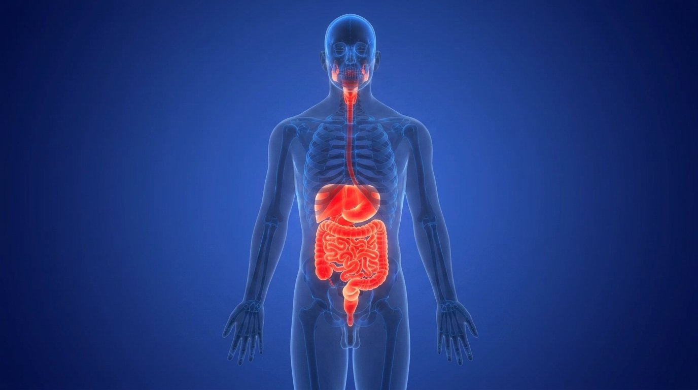 gastroentérologie