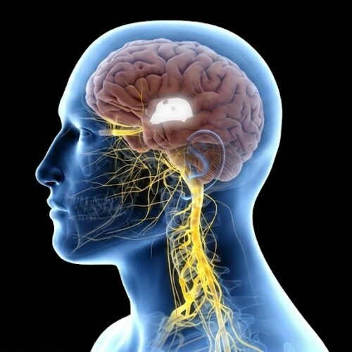 Neurologue