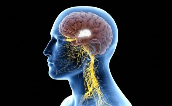 Neurologue